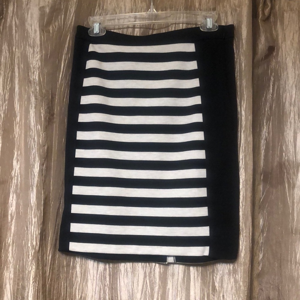 The Limited skirt